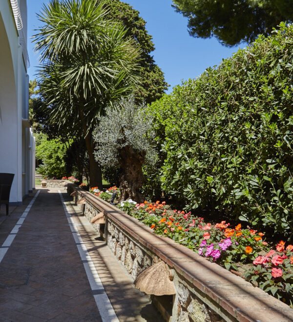GARDEN