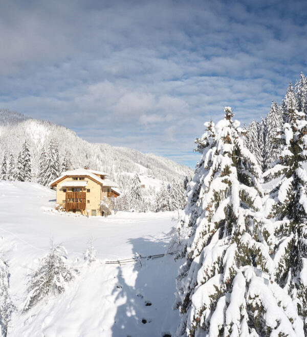 Copia di chalet_sotciastel-2020_1102