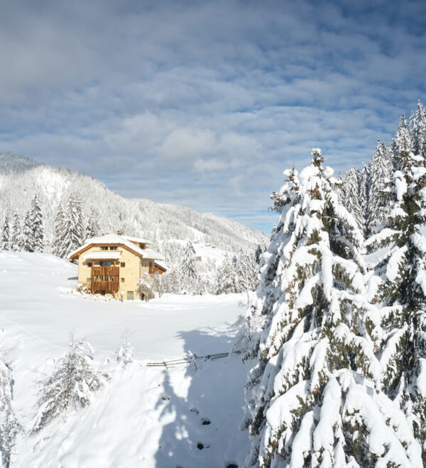 chalet_sotciastel-2020_1102