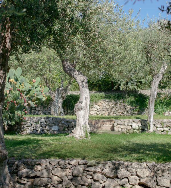 Villa with private garden in Capri