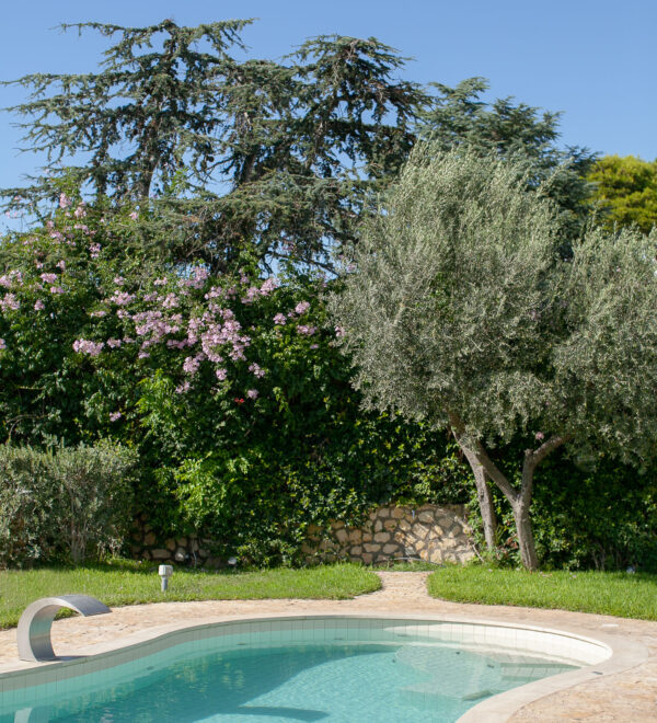 Elegant villa in Capri