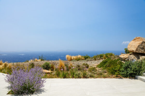052_2275_cove_iwish_gfakaros2020707-08-Edit_pe