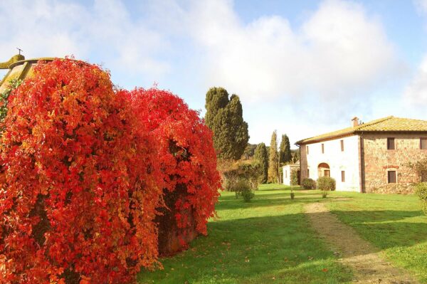 Autumn in villa