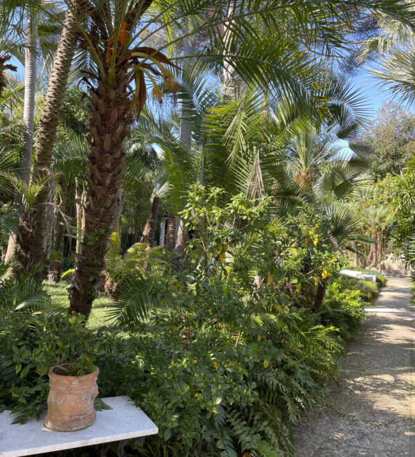 garden